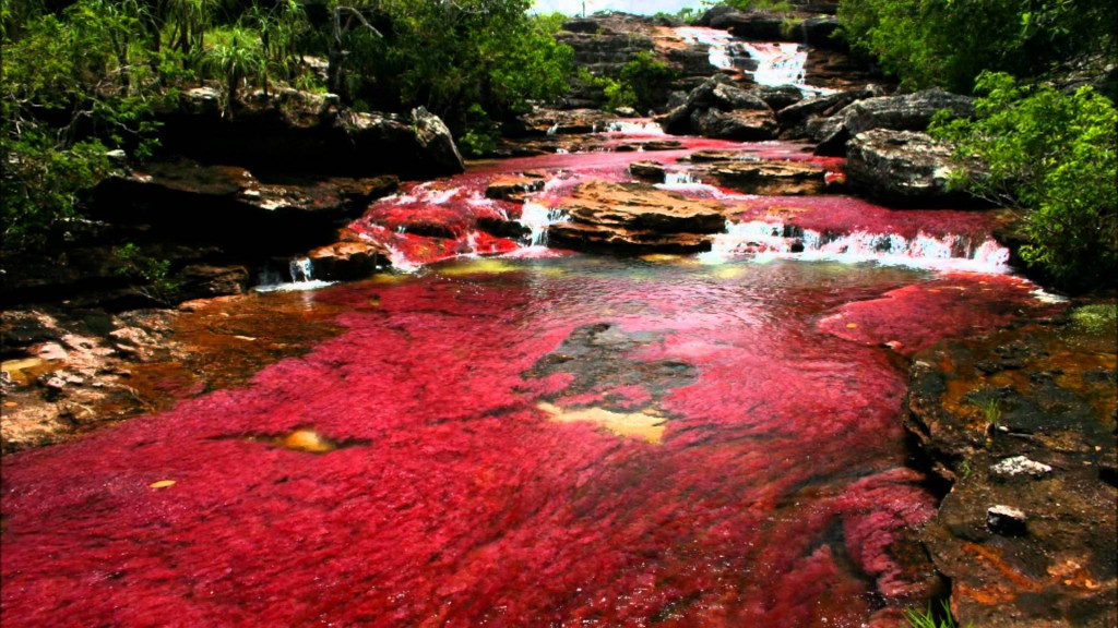 CAÑO CRISTALES